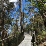 Fred Piper Lookout Walkway
