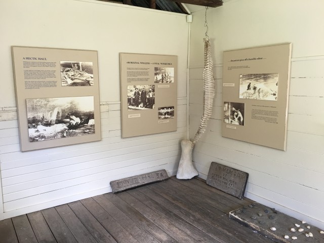 Davidson Whaling Station - Inside Displays