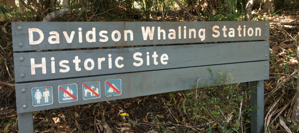 Davidson Whaling Station