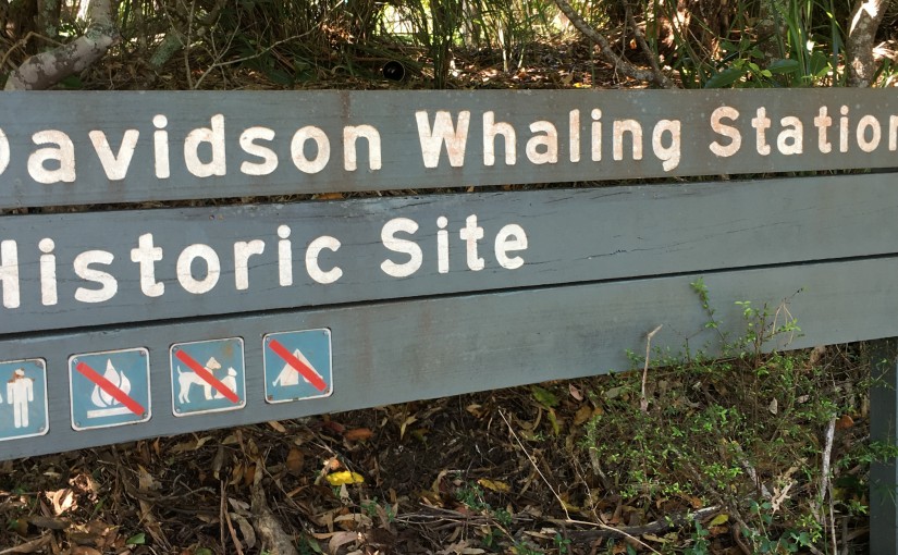 Davidson Whaling Station